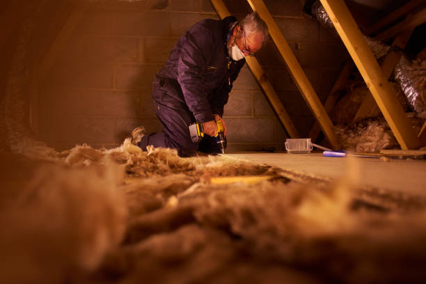 Best Geographic-Specific Insulation Services in Durham, NC